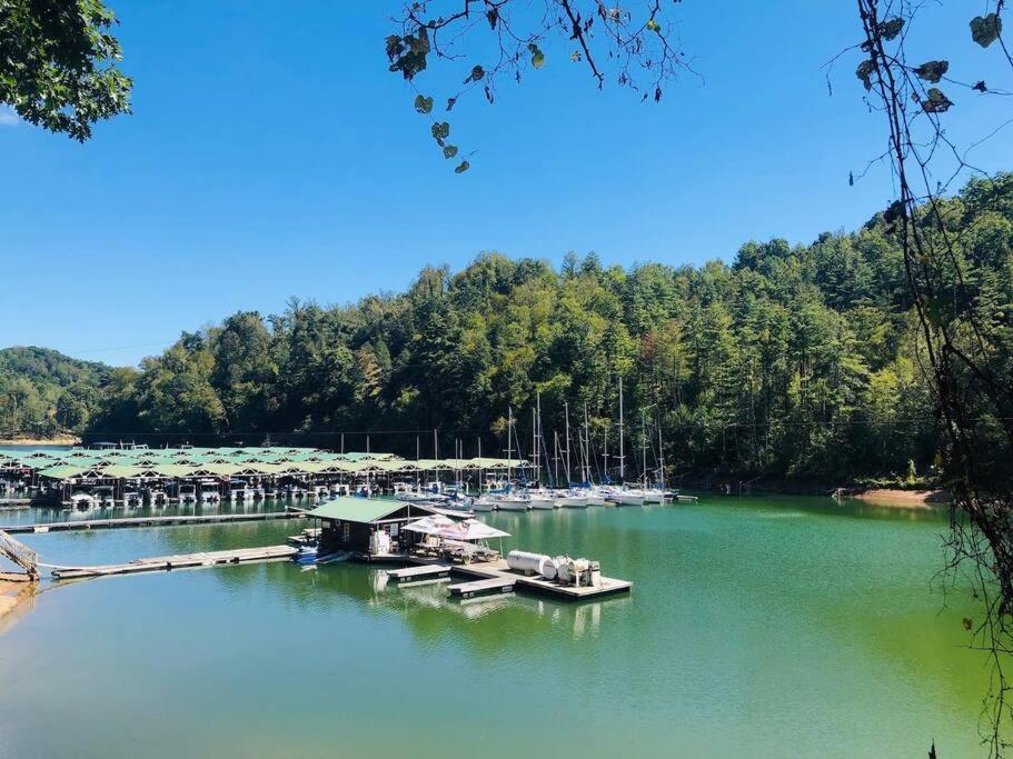 Cabin At The Cove At Watauga Lake Butler Εξωτερικό φωτογραφία