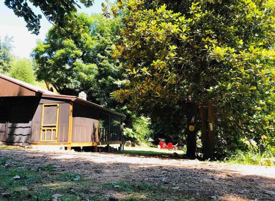 Cabin At The Cove At Watauga Lake Butler Εξωτερικό φωτογραφία
