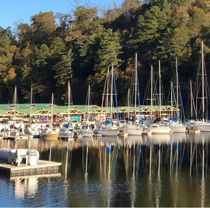 Cabin At The Cove At Watauga Lake Butler Εξωτερικό φωτογραφία