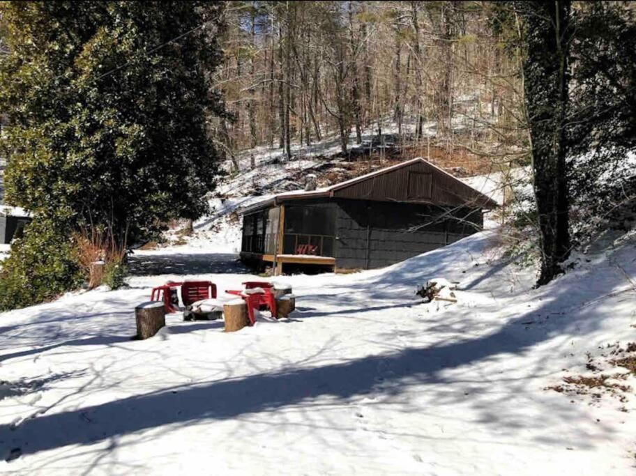 Cabin At The Cove At Watauga Lake Butler Εξωτερικό φωτογραφία